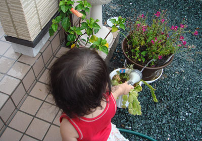 お花に水