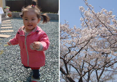 公園にさくら