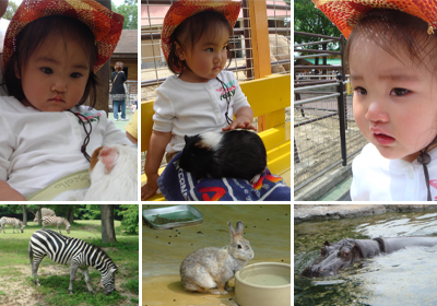 また動物園